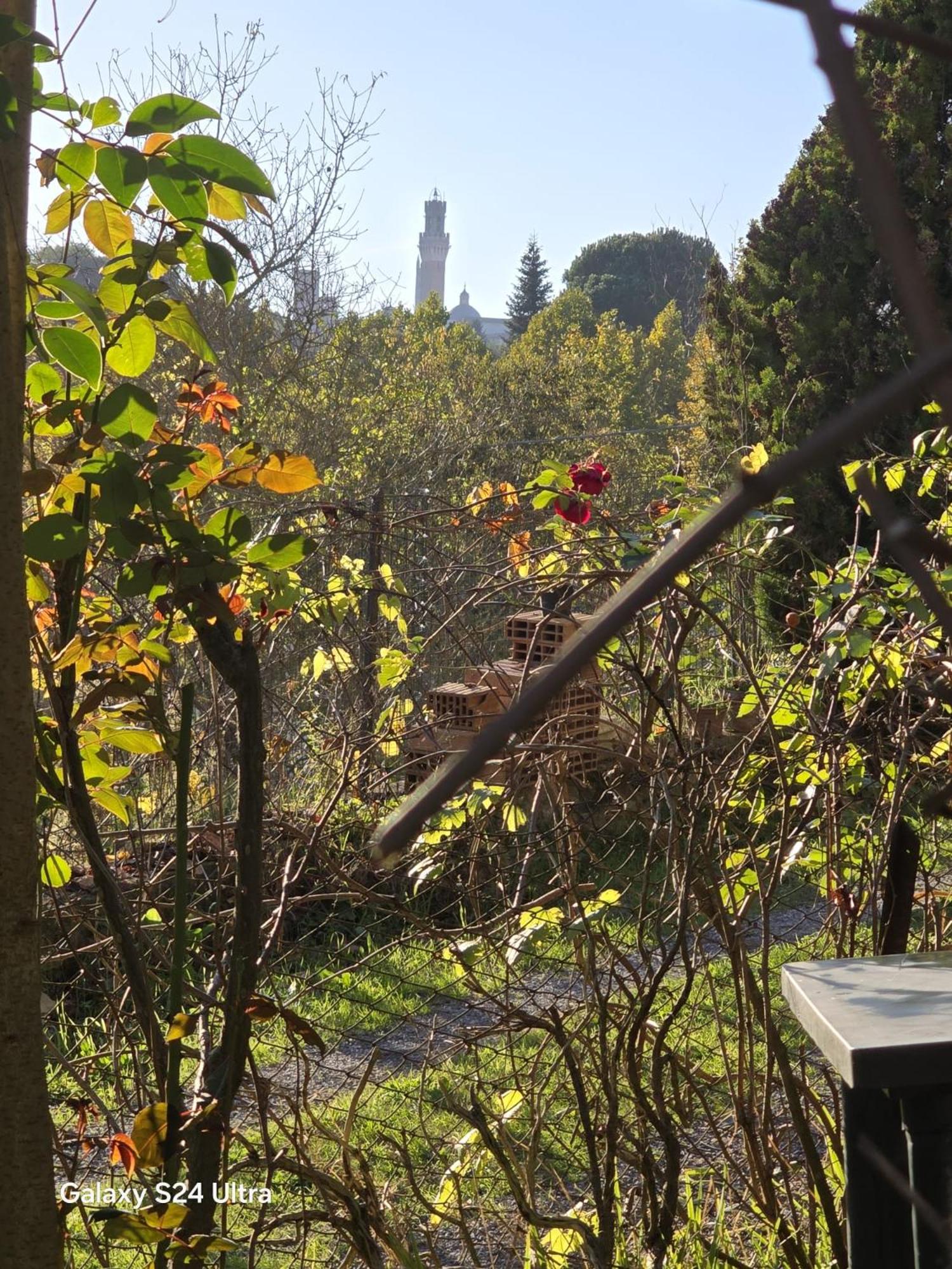 Podere Ponticini