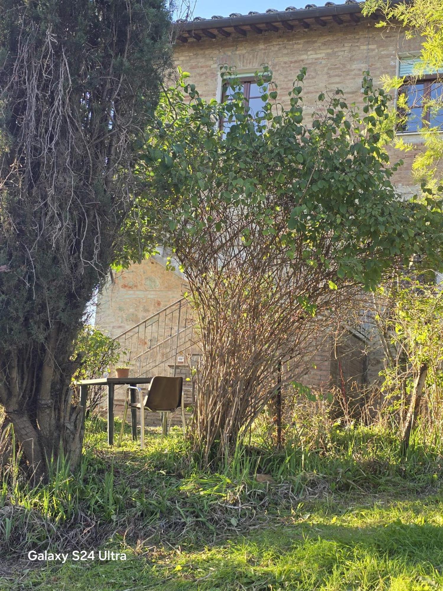 Podere Ponticini