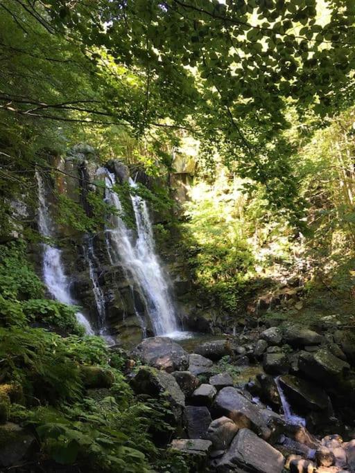 La tua casa a Rastignano photo 3