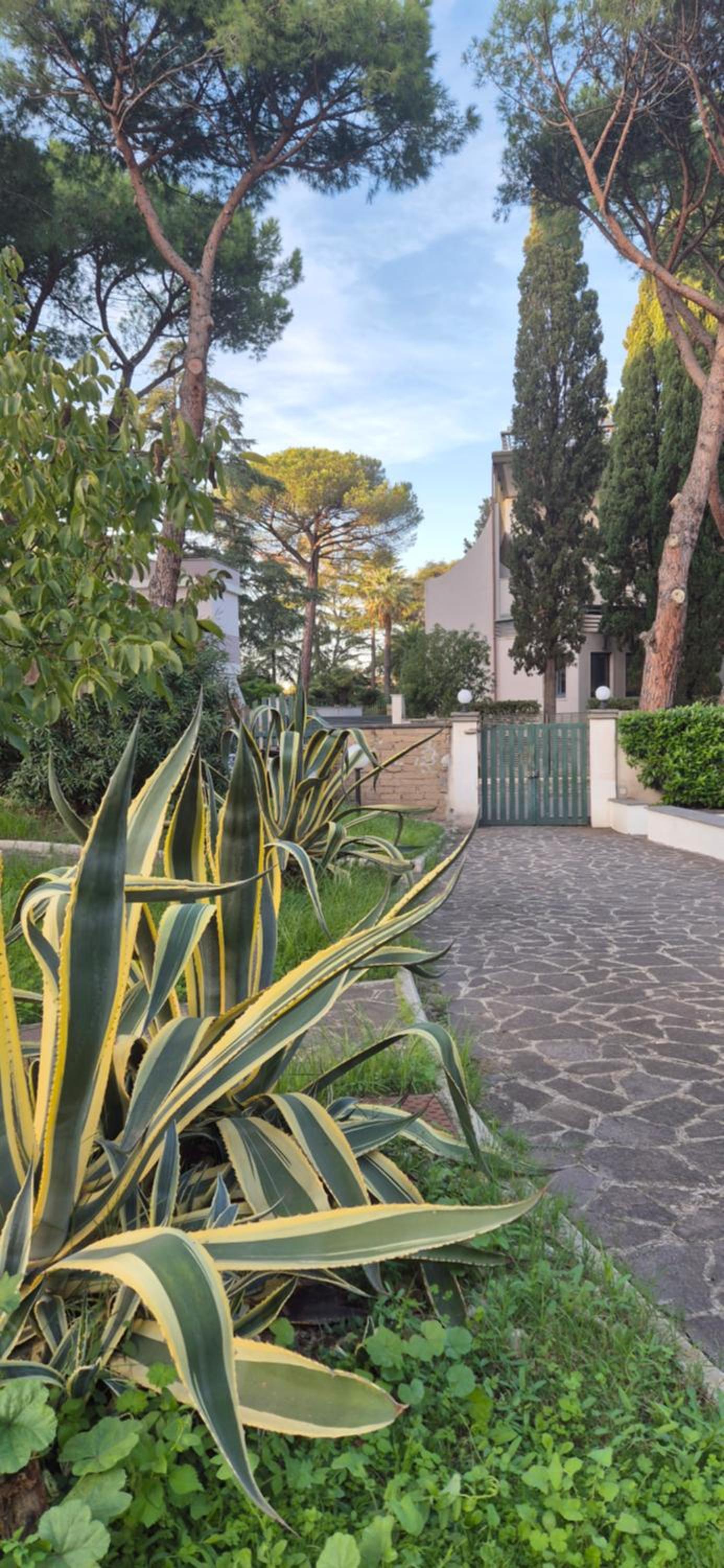 Guru Mostacciano Apartment
