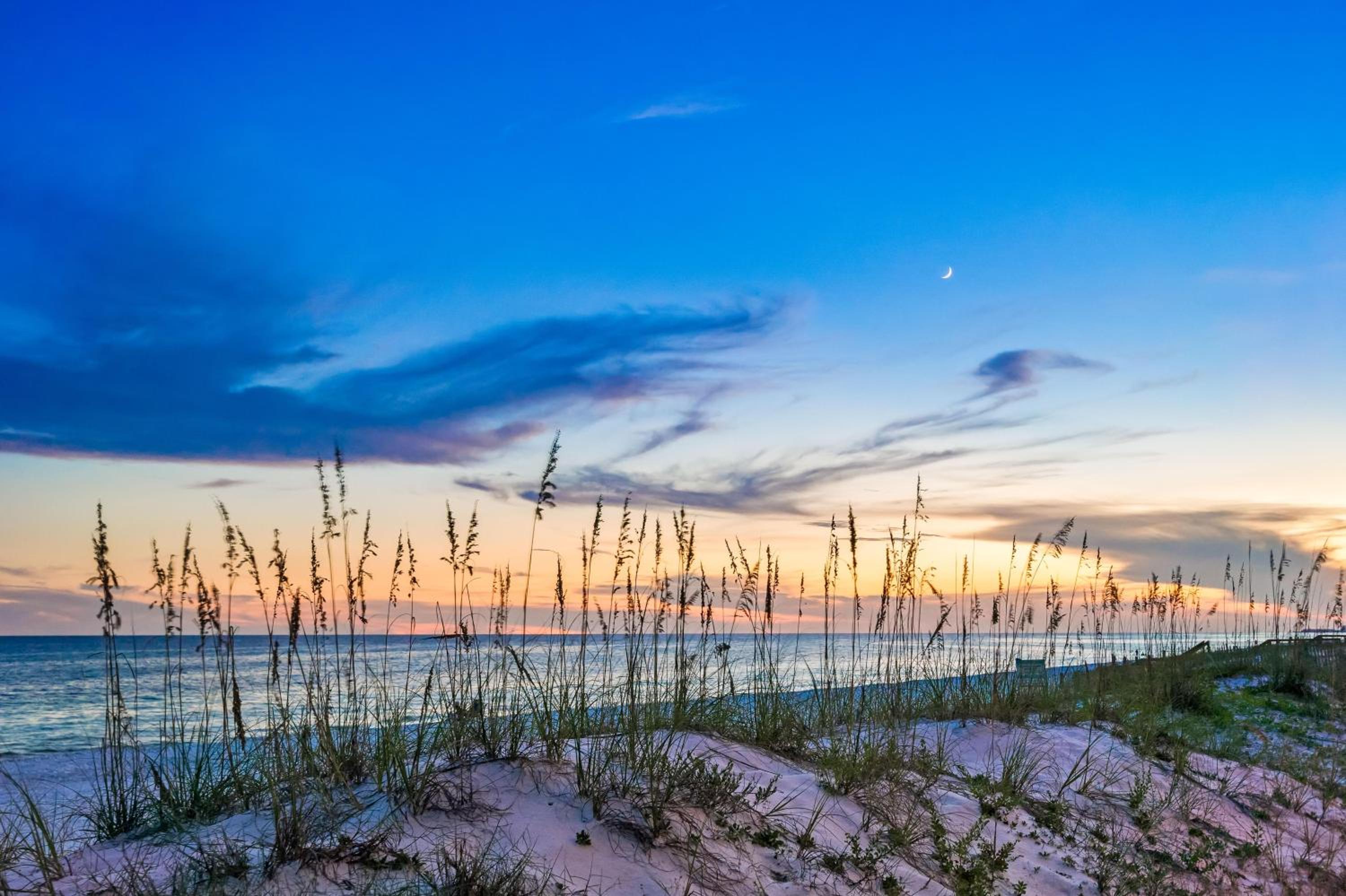 Coastal Treasure-ON GULF-FRANGISTA BEACH