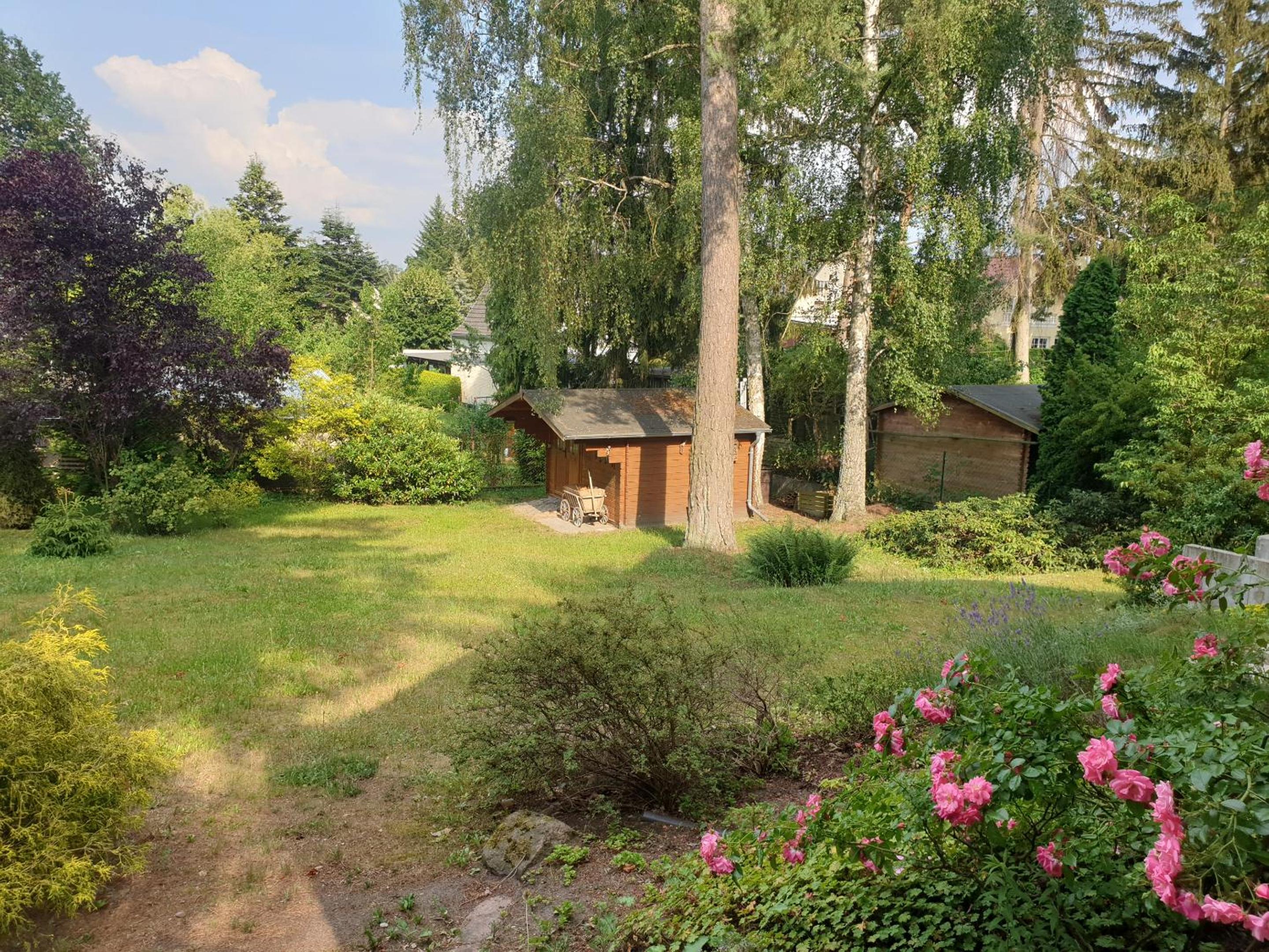 Photo 26
