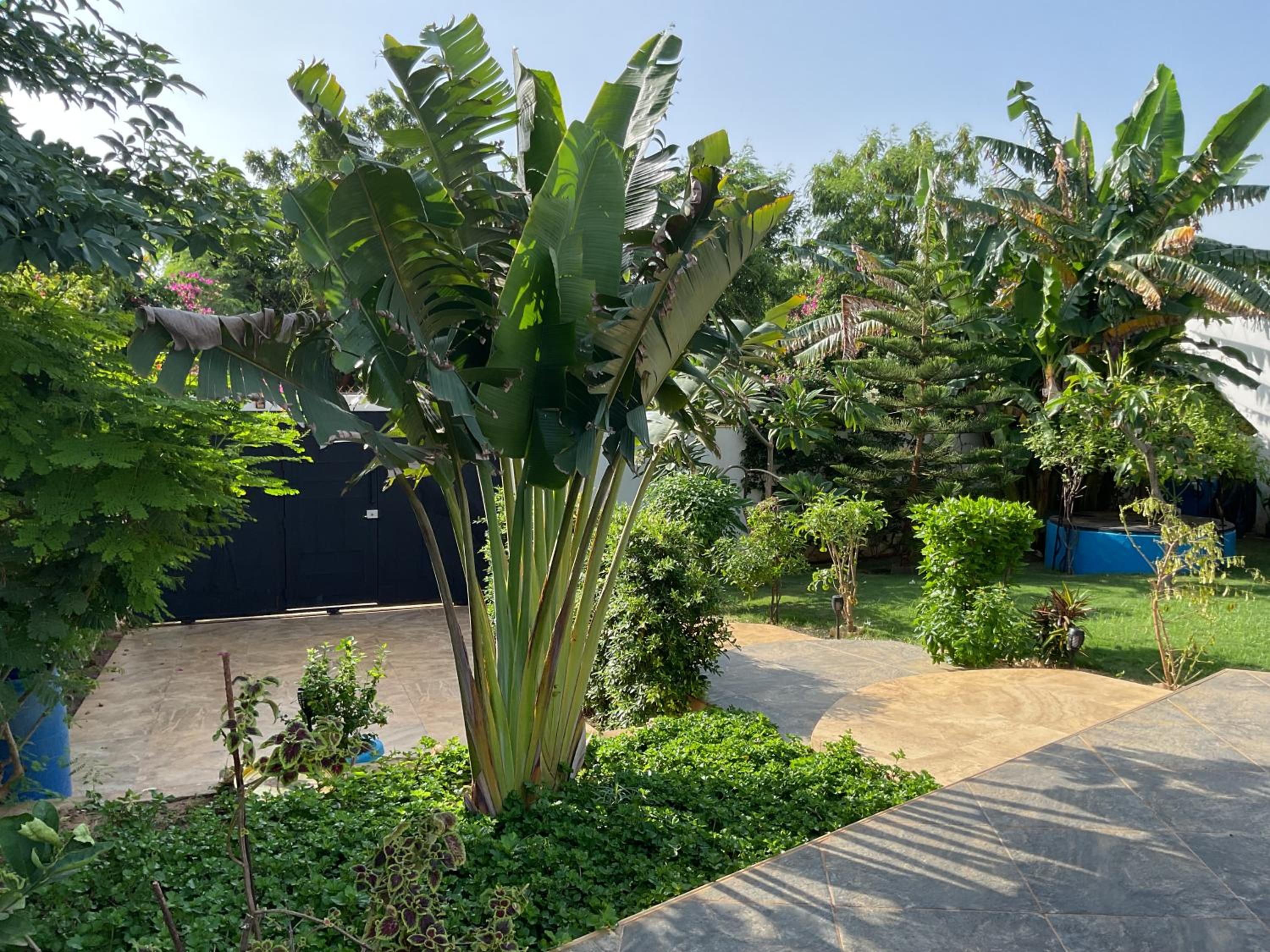 Villa bonheur Somone