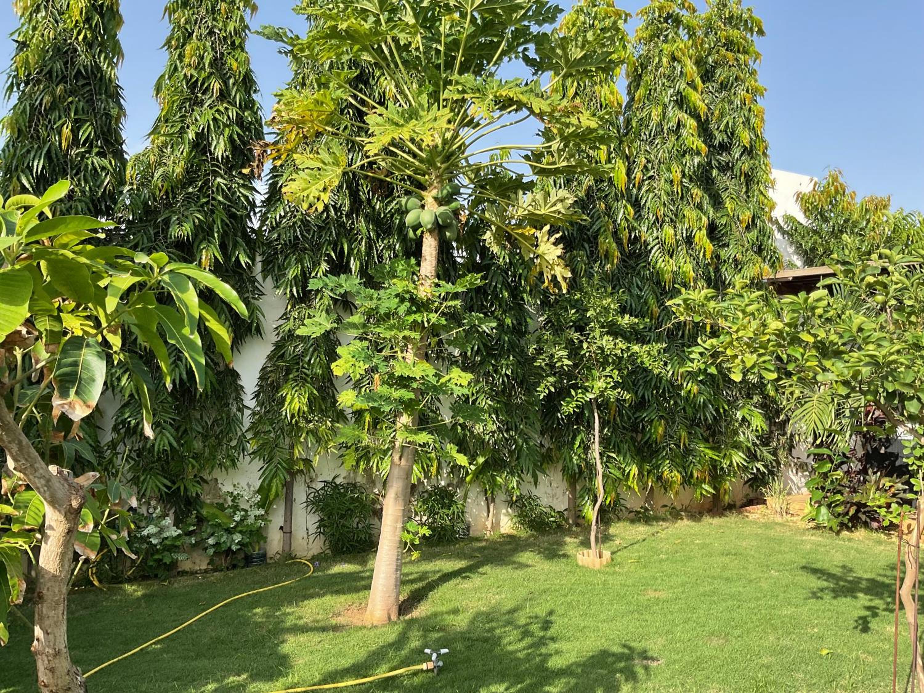 Villa bonheur Somone