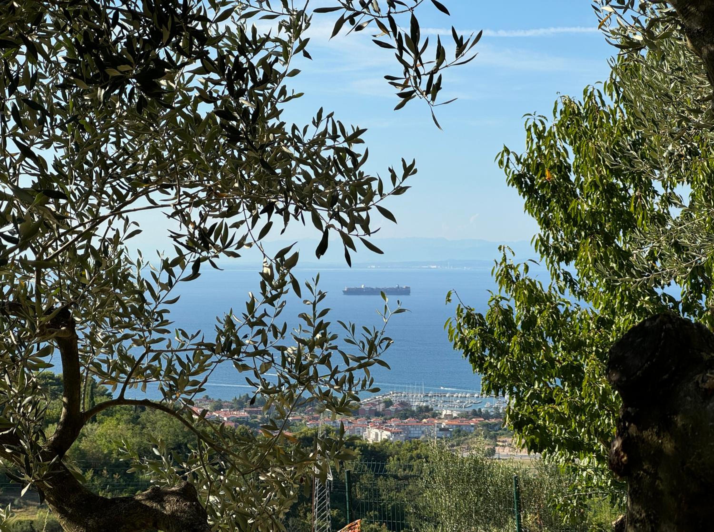 OLIVES HOUSE in Izola view 5