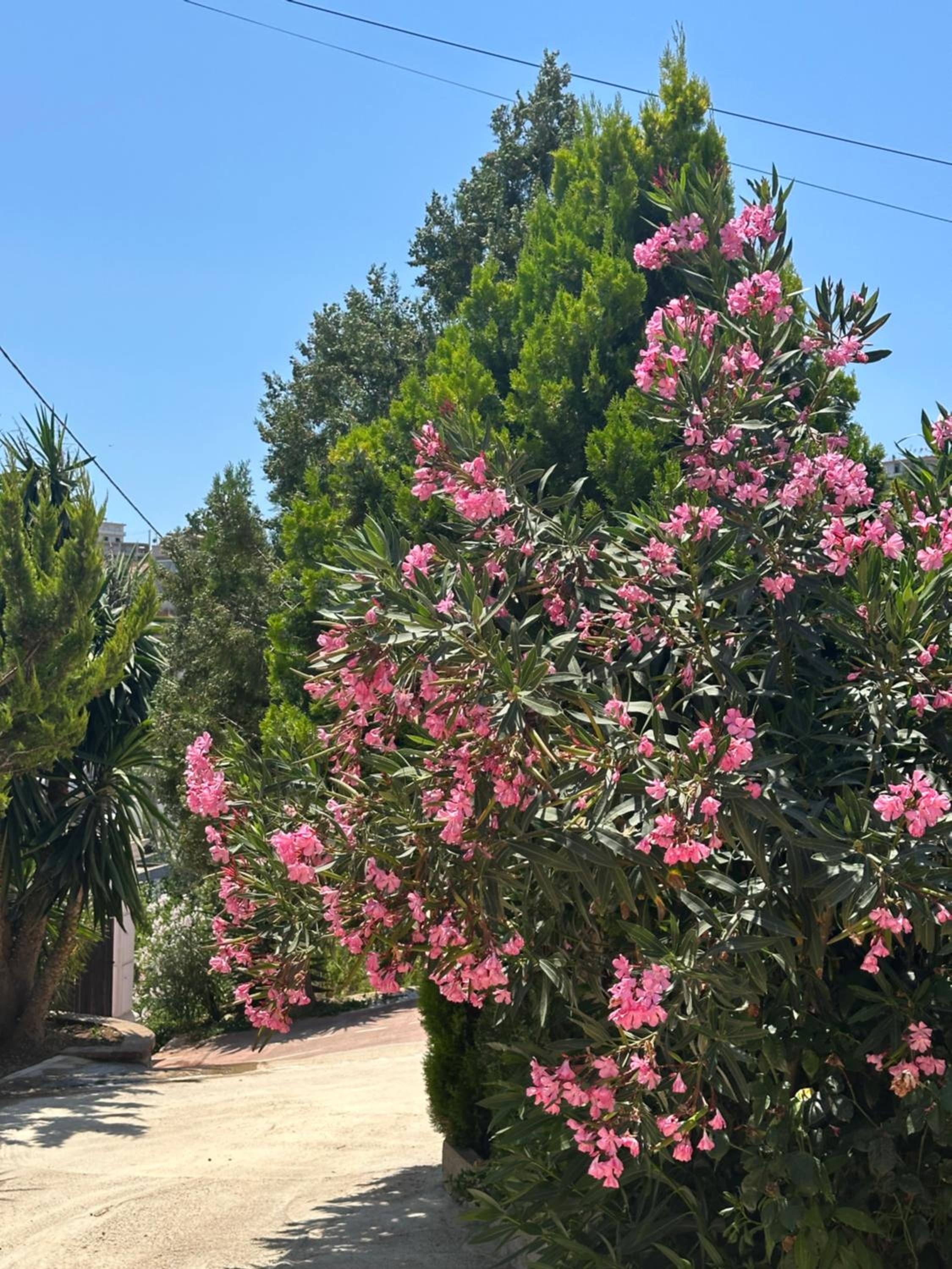 Panoramic Views of Saranda