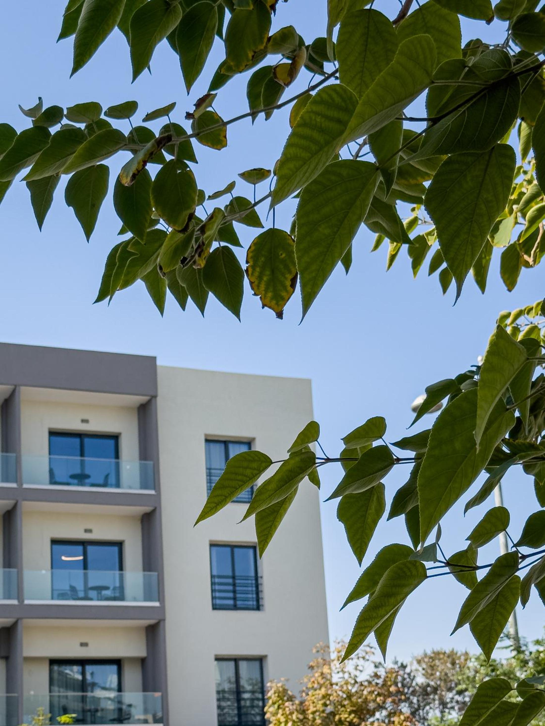 VILLA 8 By ProLiving Hospitality