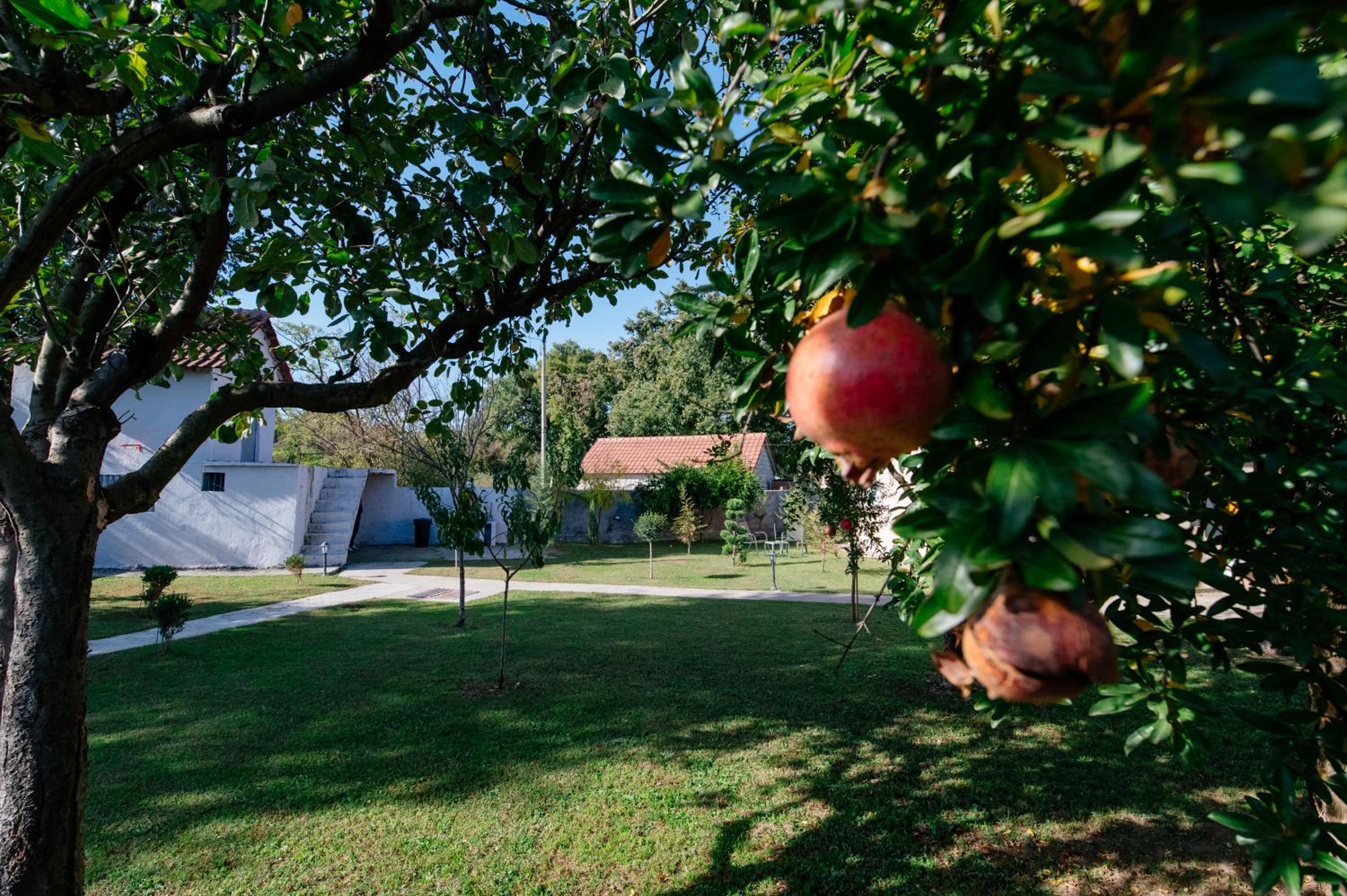 Villa PeSa, Luxury Pool & Spa Retreat