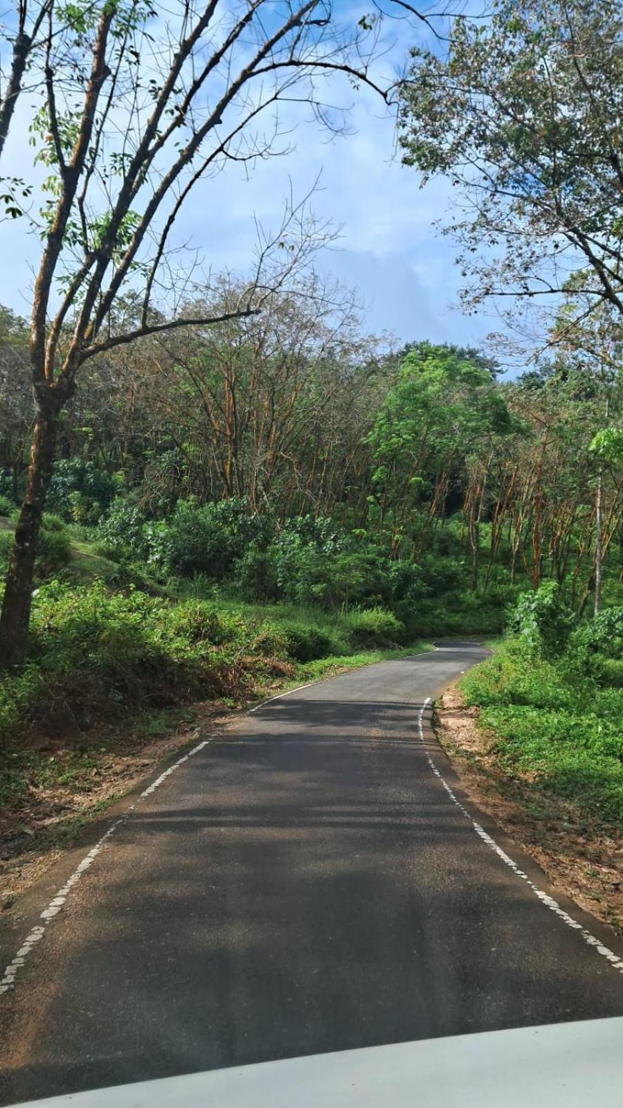 Minipura Adventure