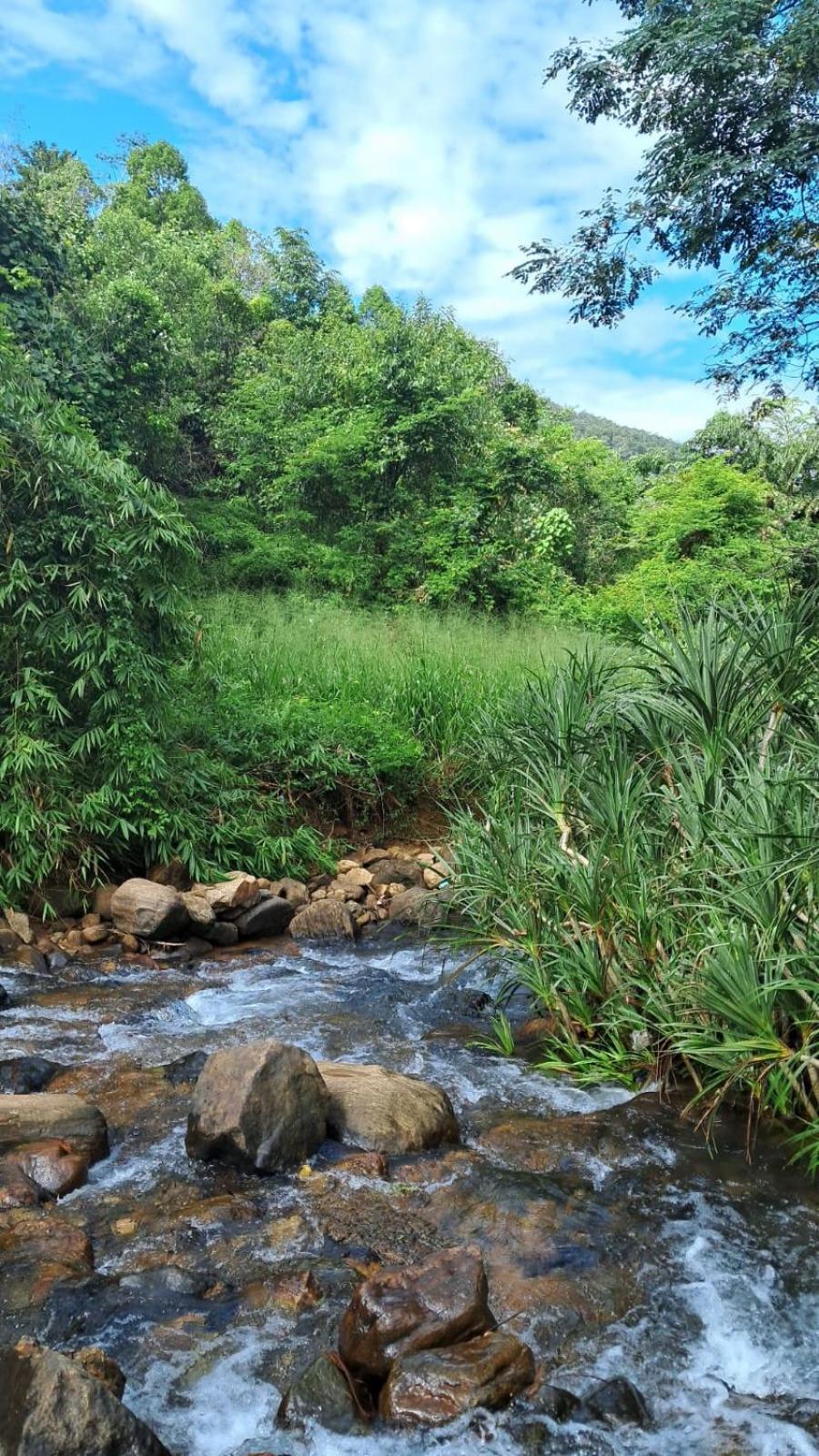 Minipura Adventure