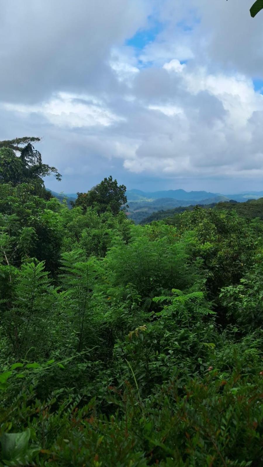 Minipura Adventure