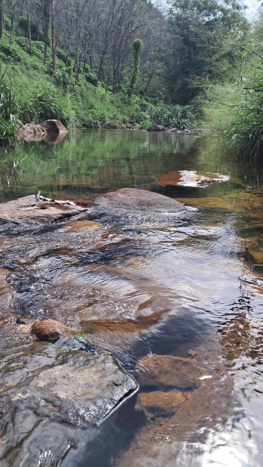 Minipura Adventure