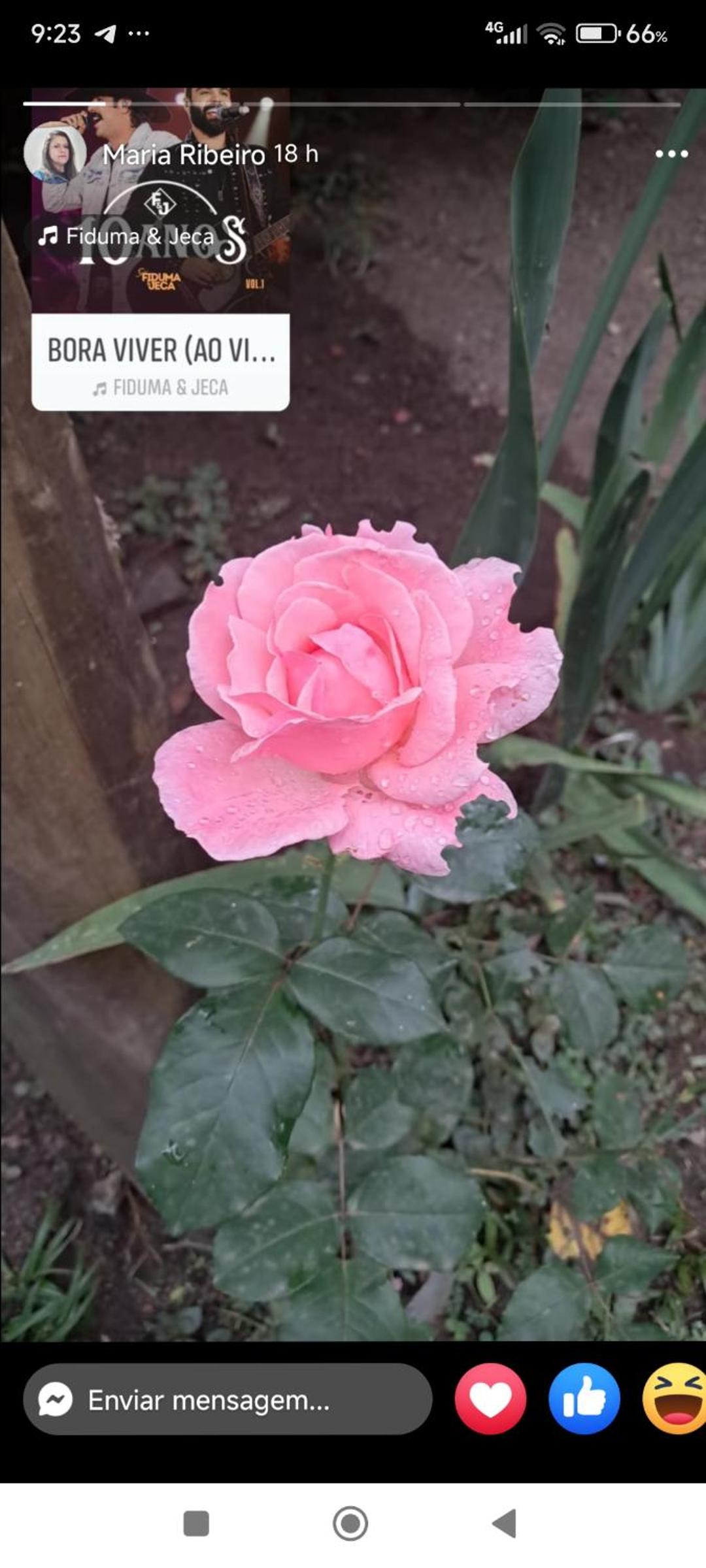 Chalé beija flor