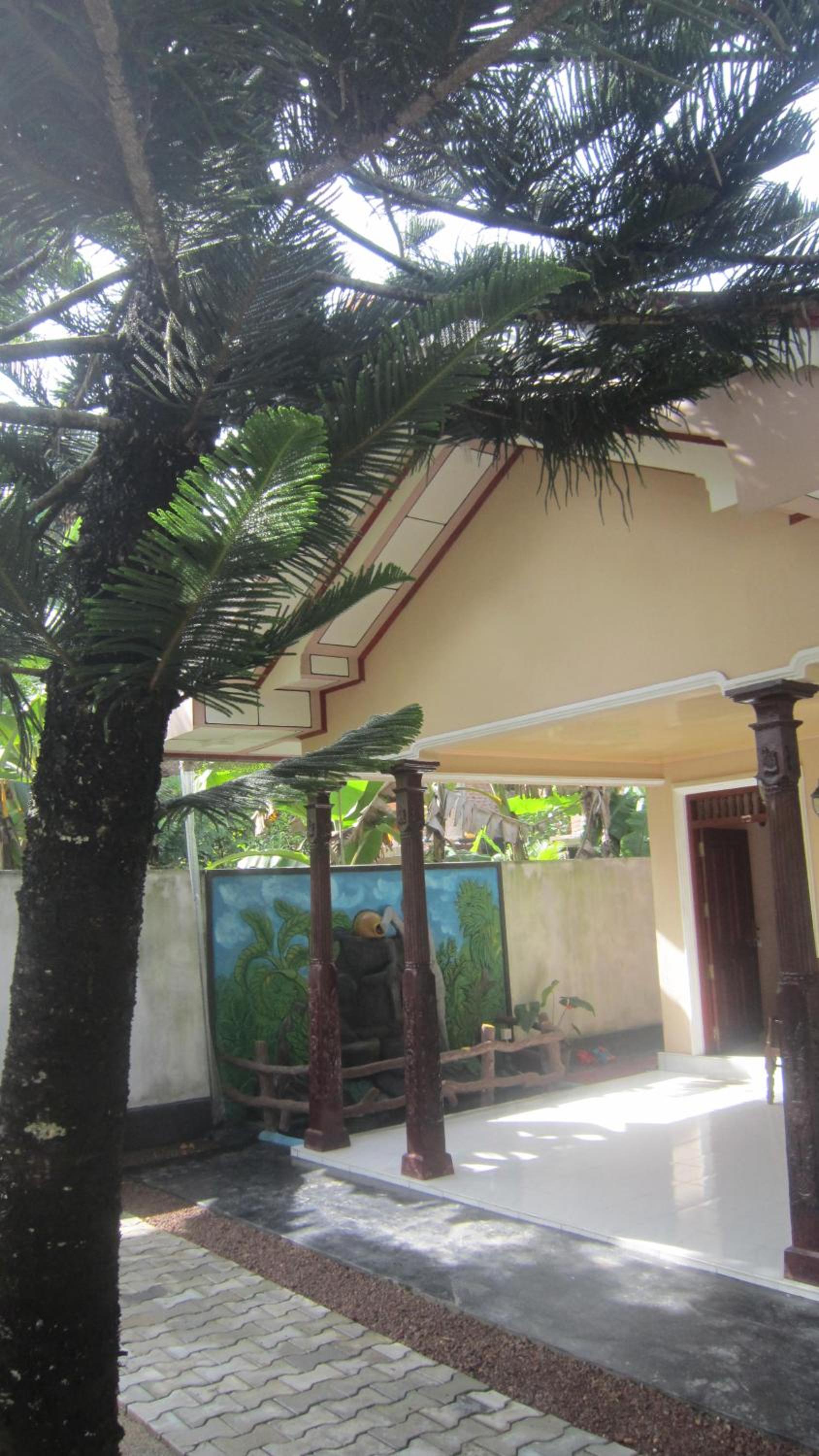Photo 25