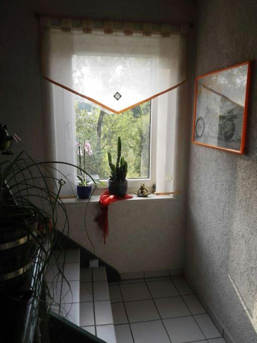 -Alirina- Ferienwohnung, 2 Schlafzimmer, Parkplatz
