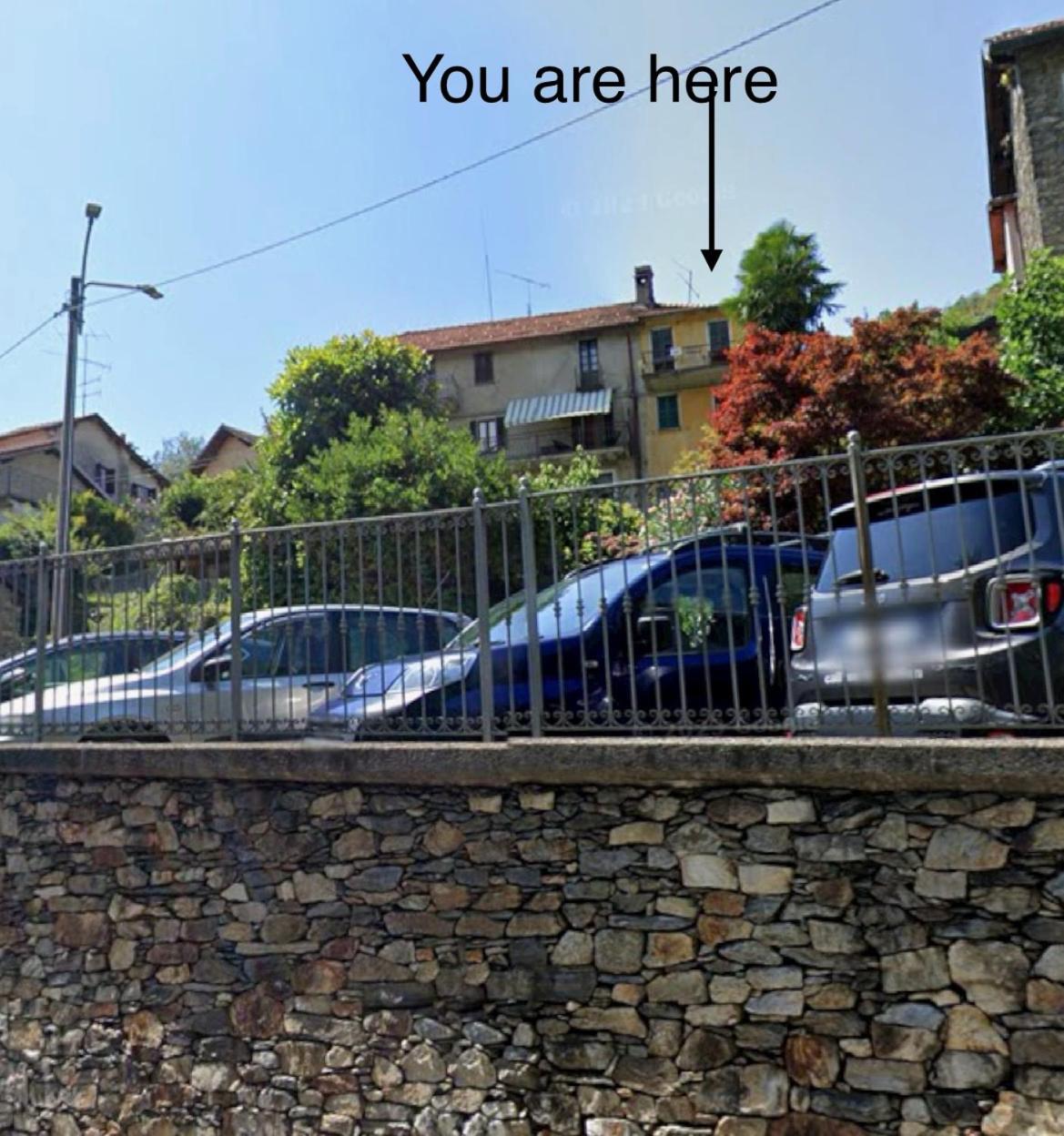Il GLICINE