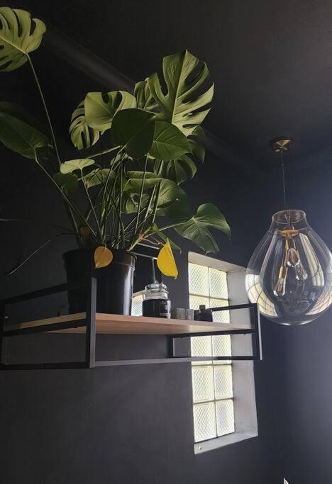 Modern Luxurious Black House Pet Friendly view 3