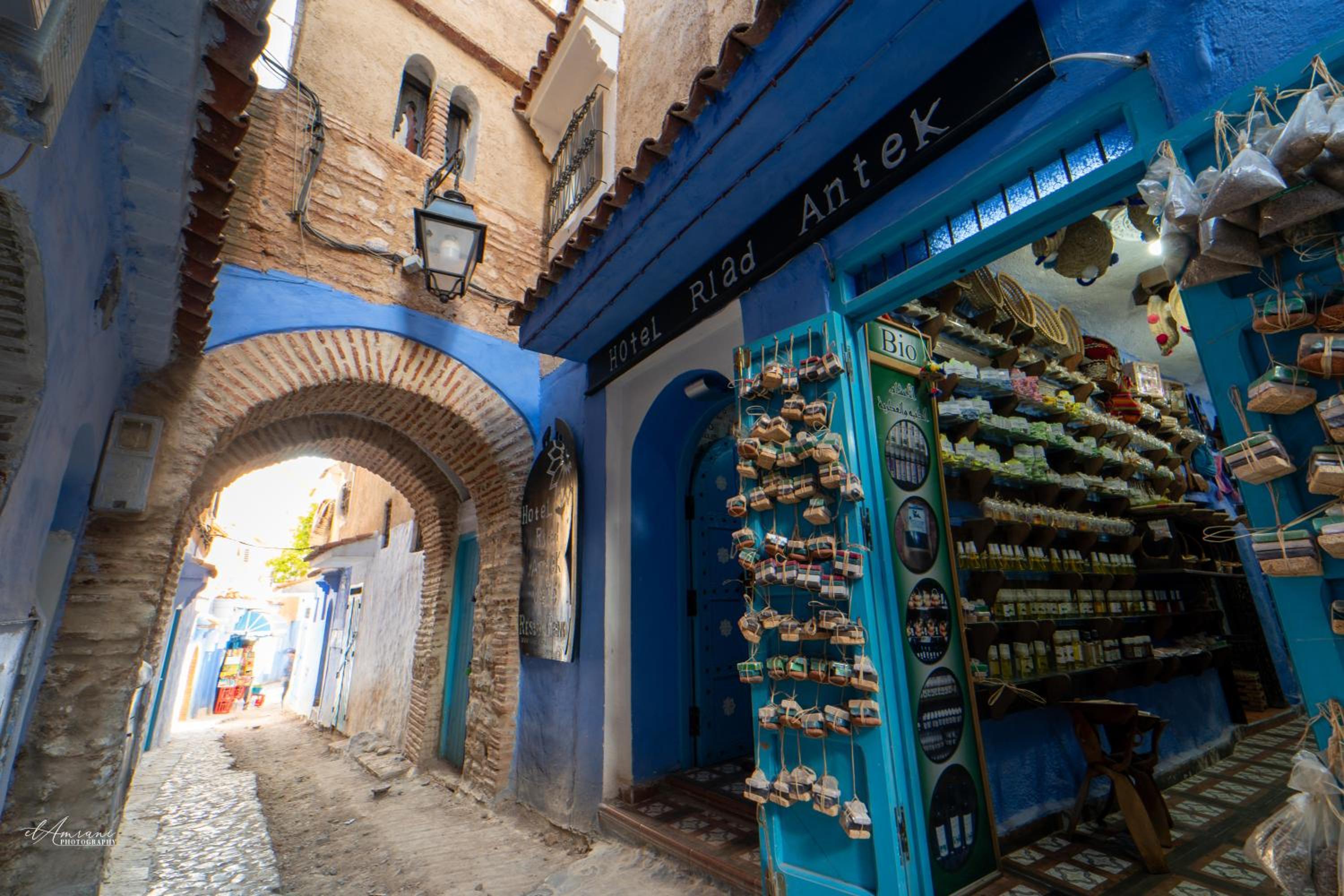 Riad Antek