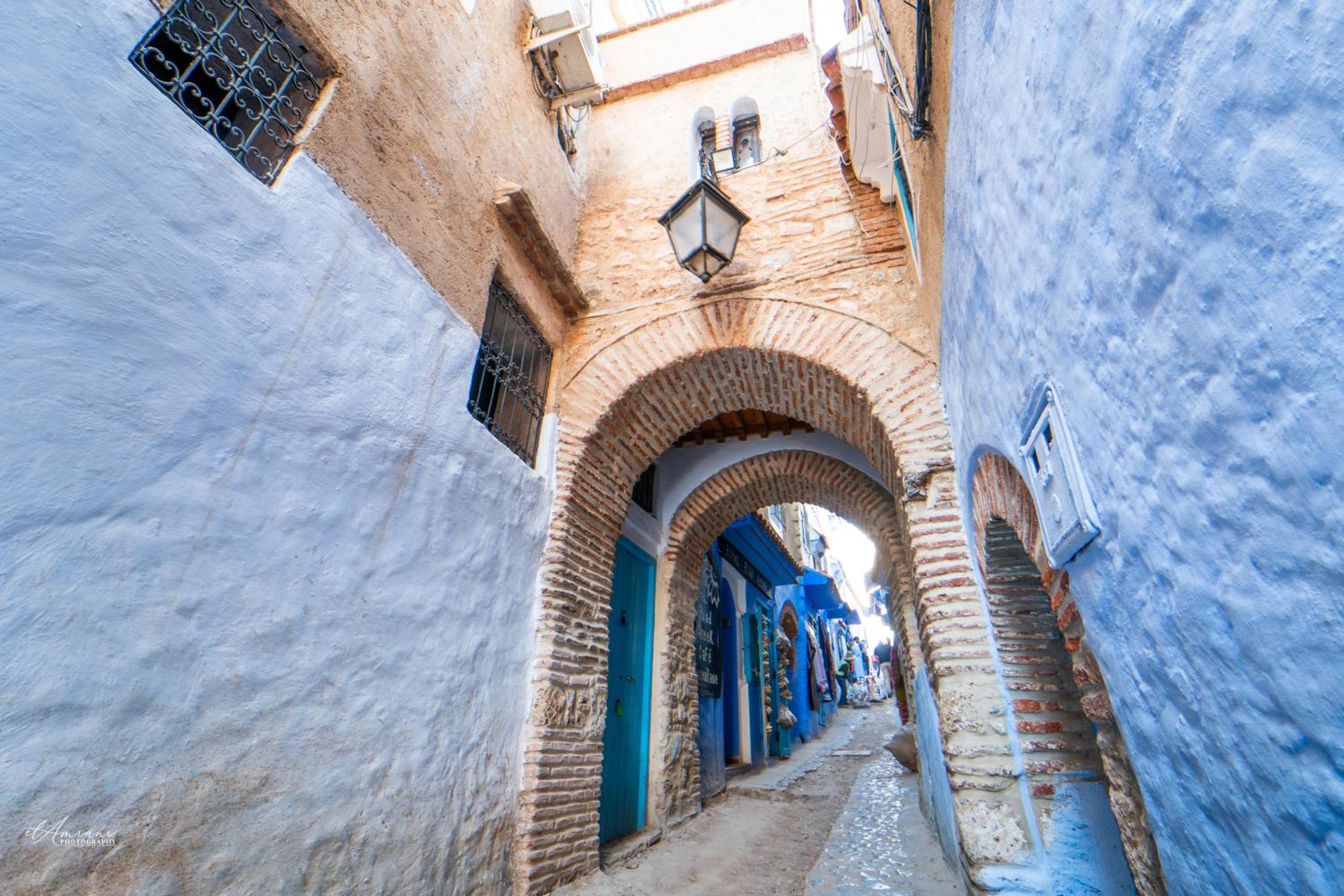 Riad Antek