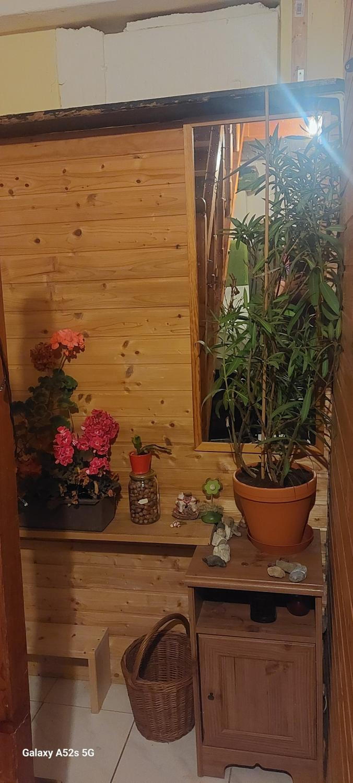 Brno - apartmán v bohémské čtvrti Kamenka