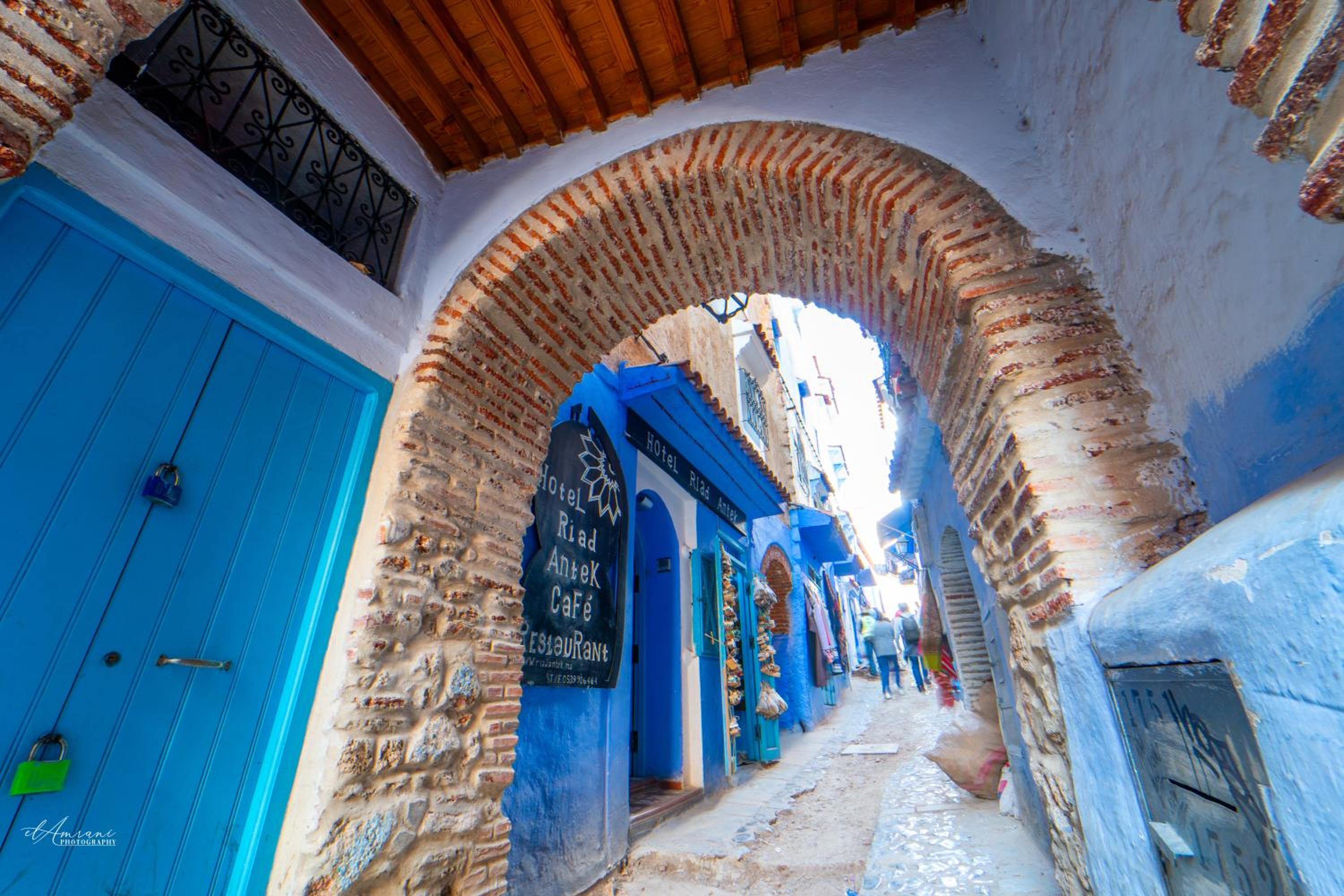 Riad Antek