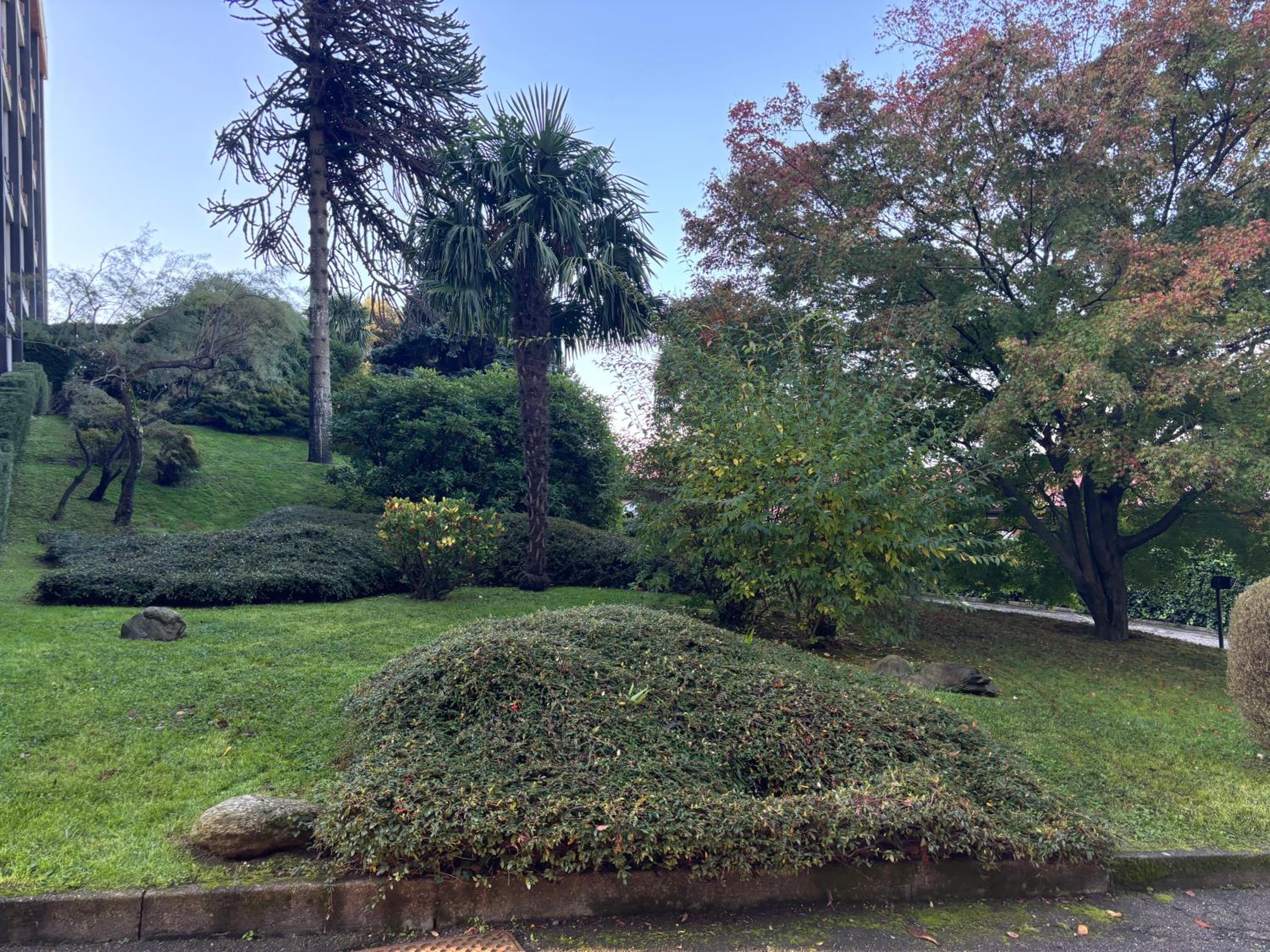 Il Lago a Luino