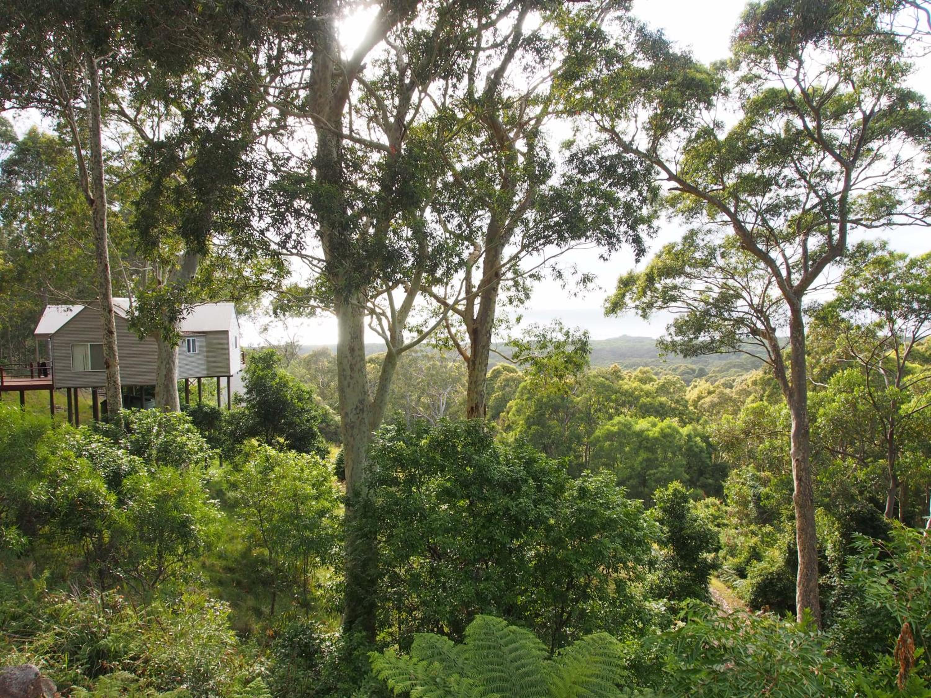 Bundle Hill Cottages view 4