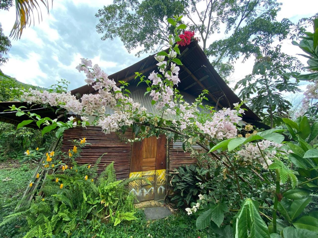 TROPICAL BIOHOSTEL