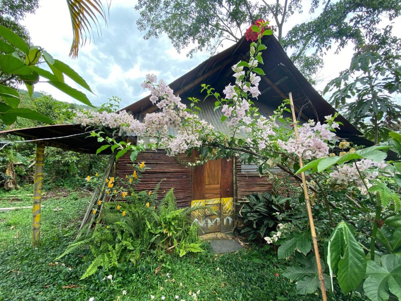 TROPICAL BIOHOSTEL