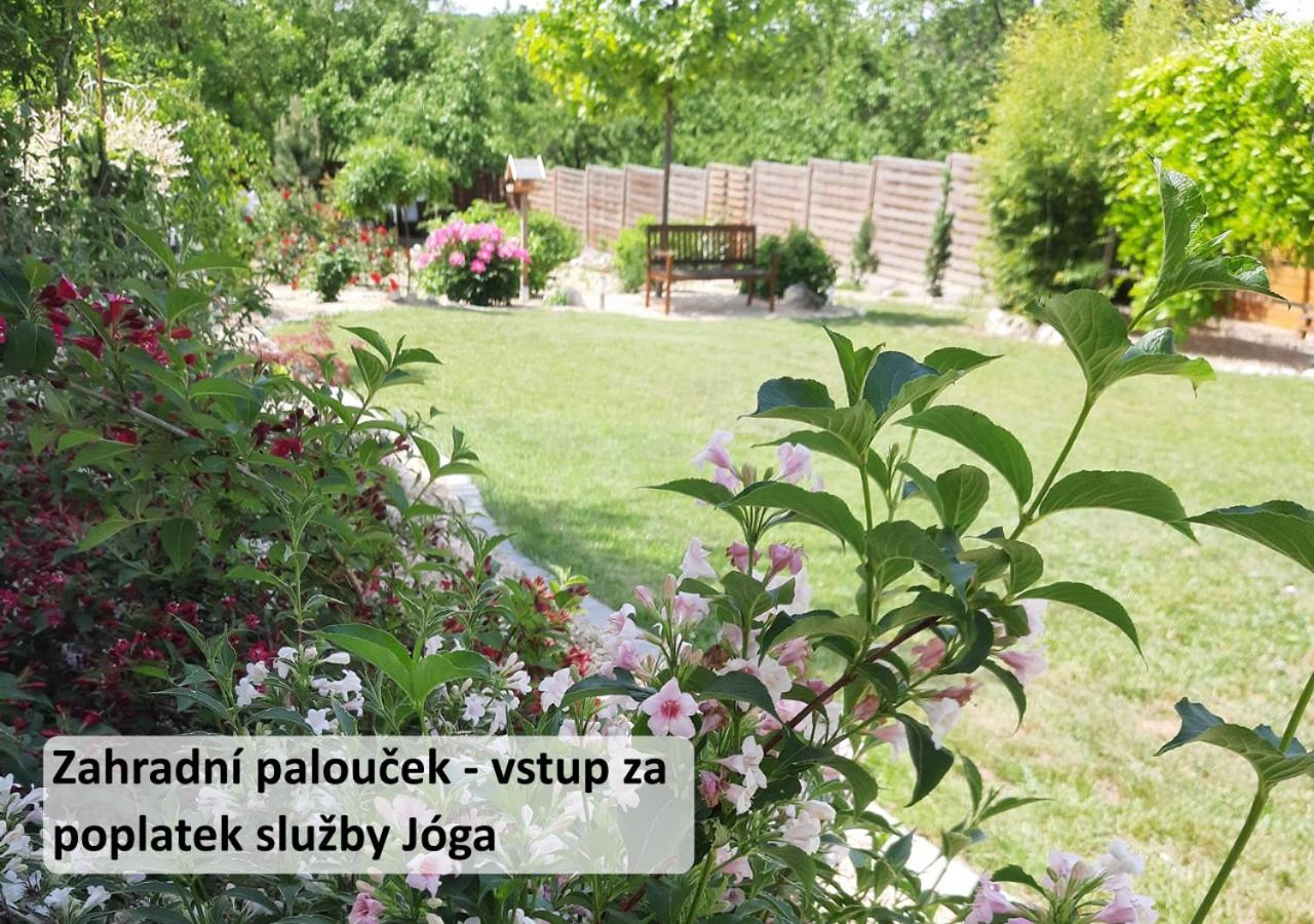 Apartmán Vital na Pálavě - ubytování & životní restart