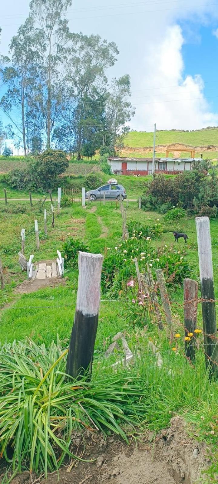 Refugio Paramo Trek Murillo