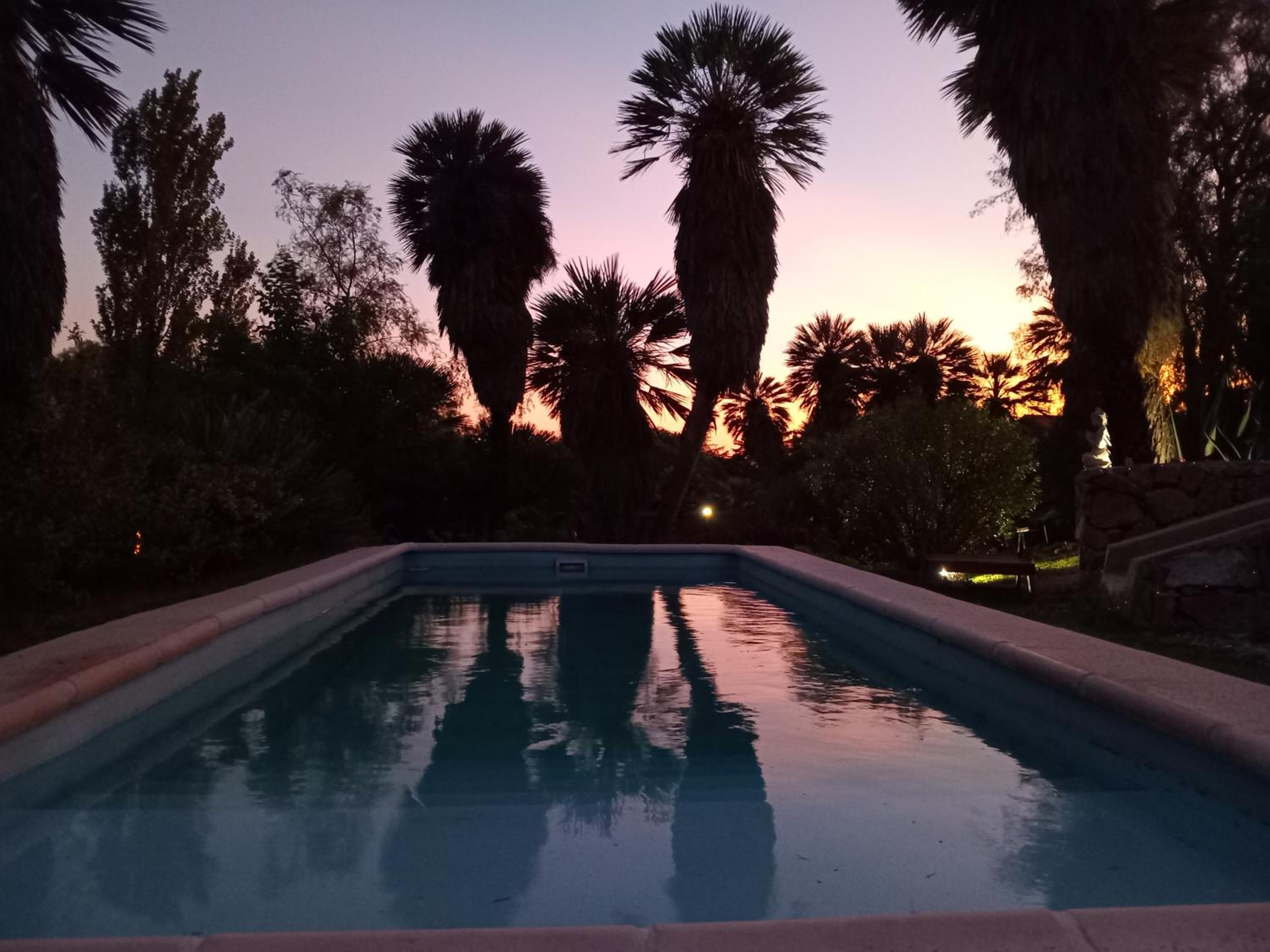 Palmares al cerro