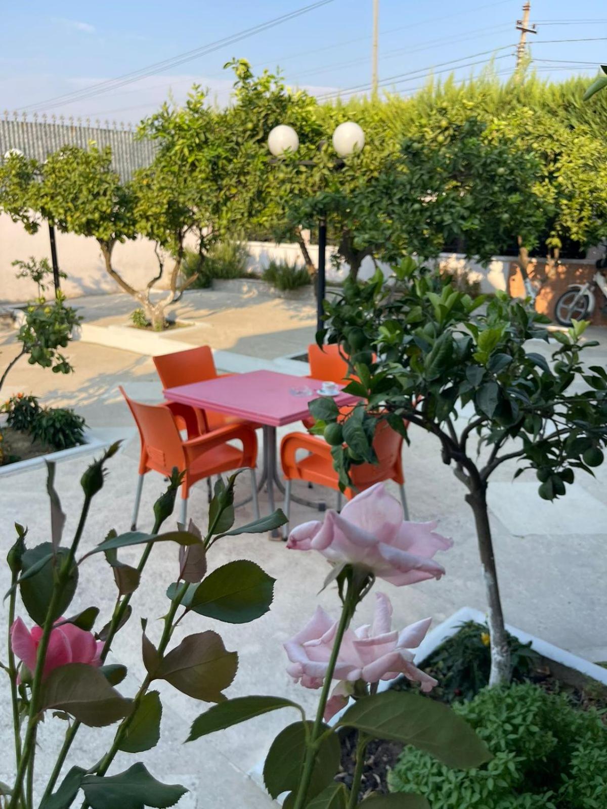 Restaurant Bujtina Portokallja