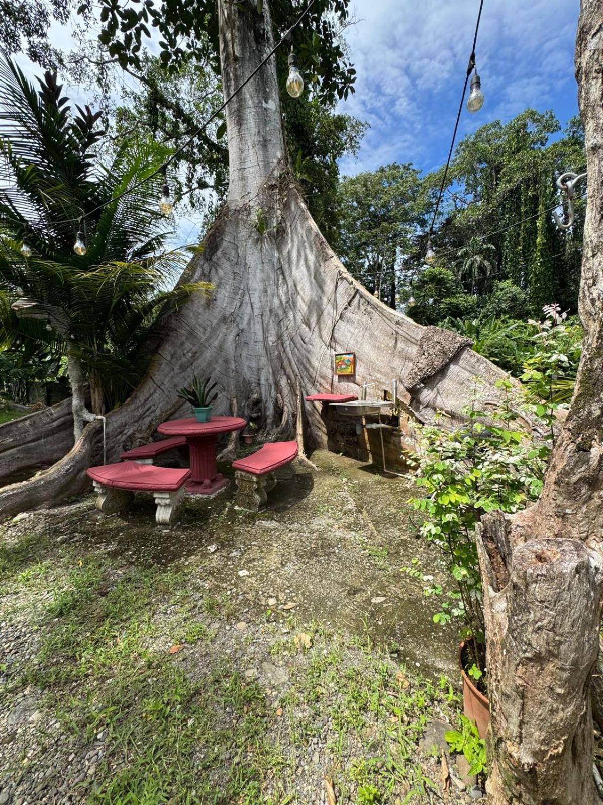 Casa Chilamate