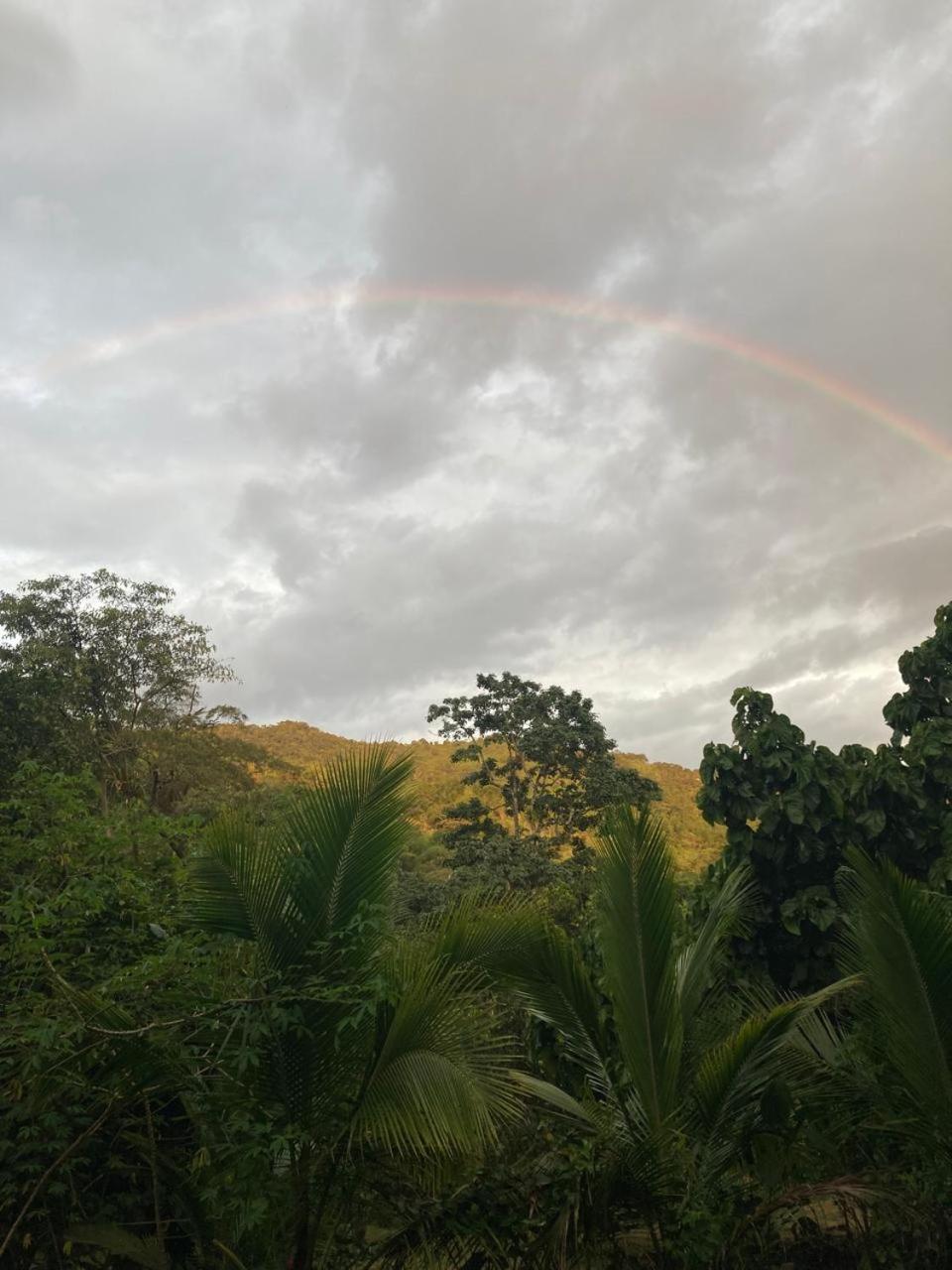 TROPICAL BIOHOSTEL