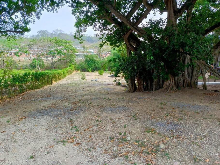 campestre, naturaleza, confort, familiar