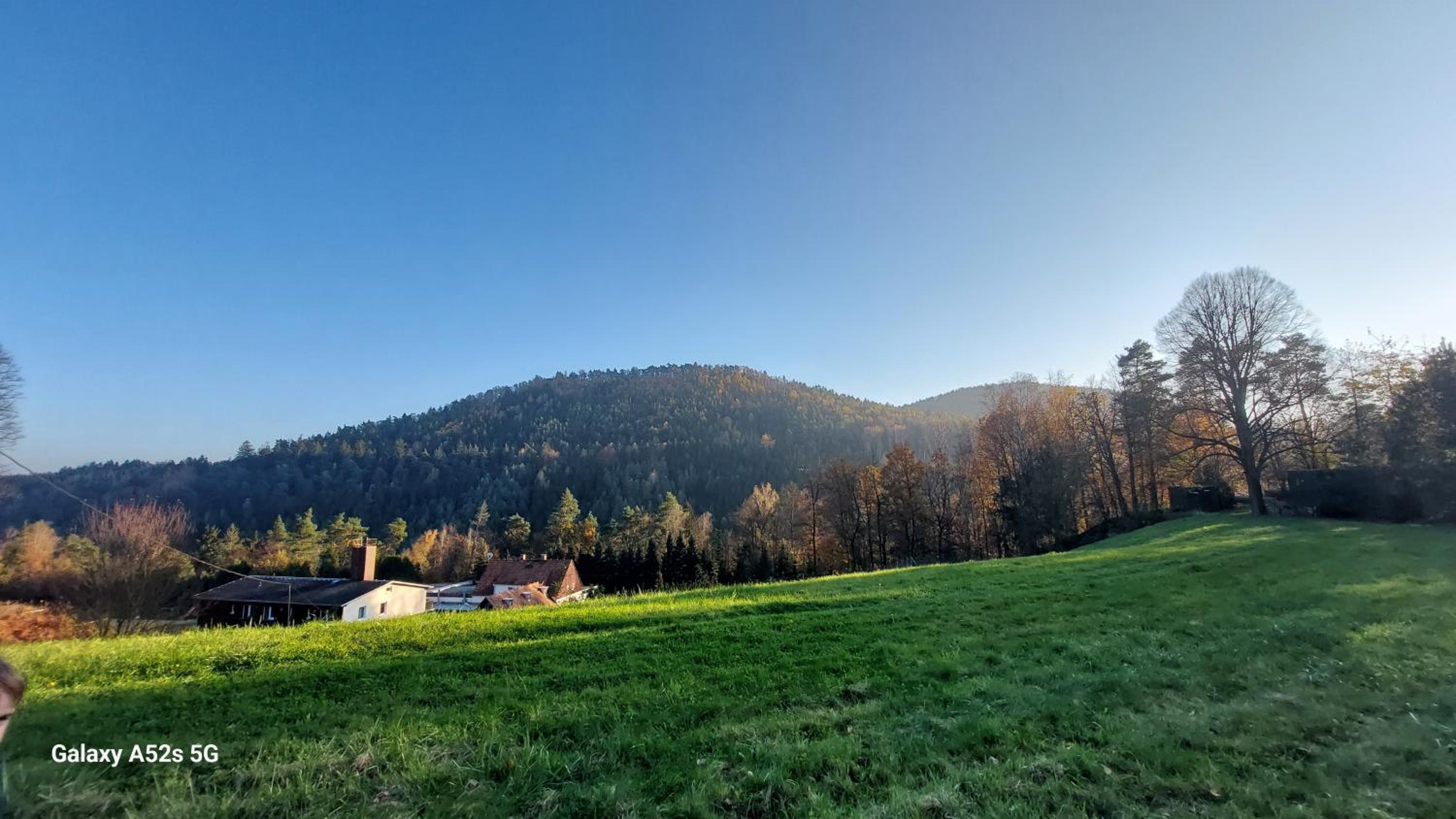 Gästehaus Bergwald
