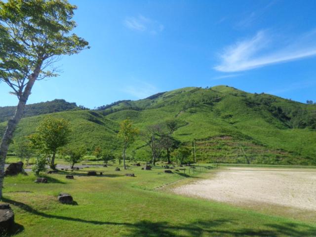 Photo 47