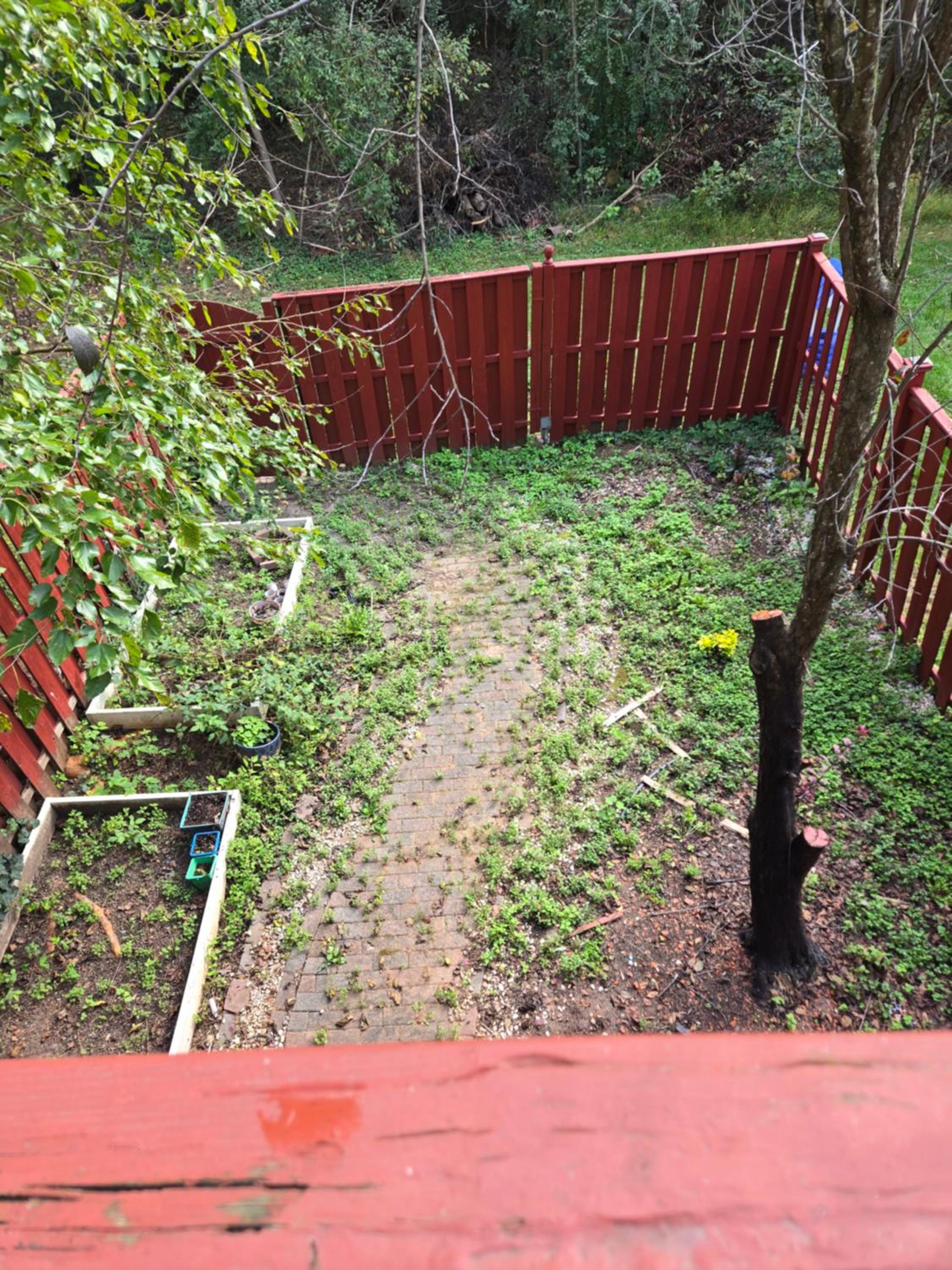 Photo 27