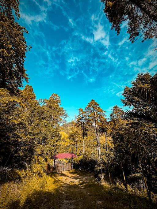 Cabaña rodeada de naturaleza