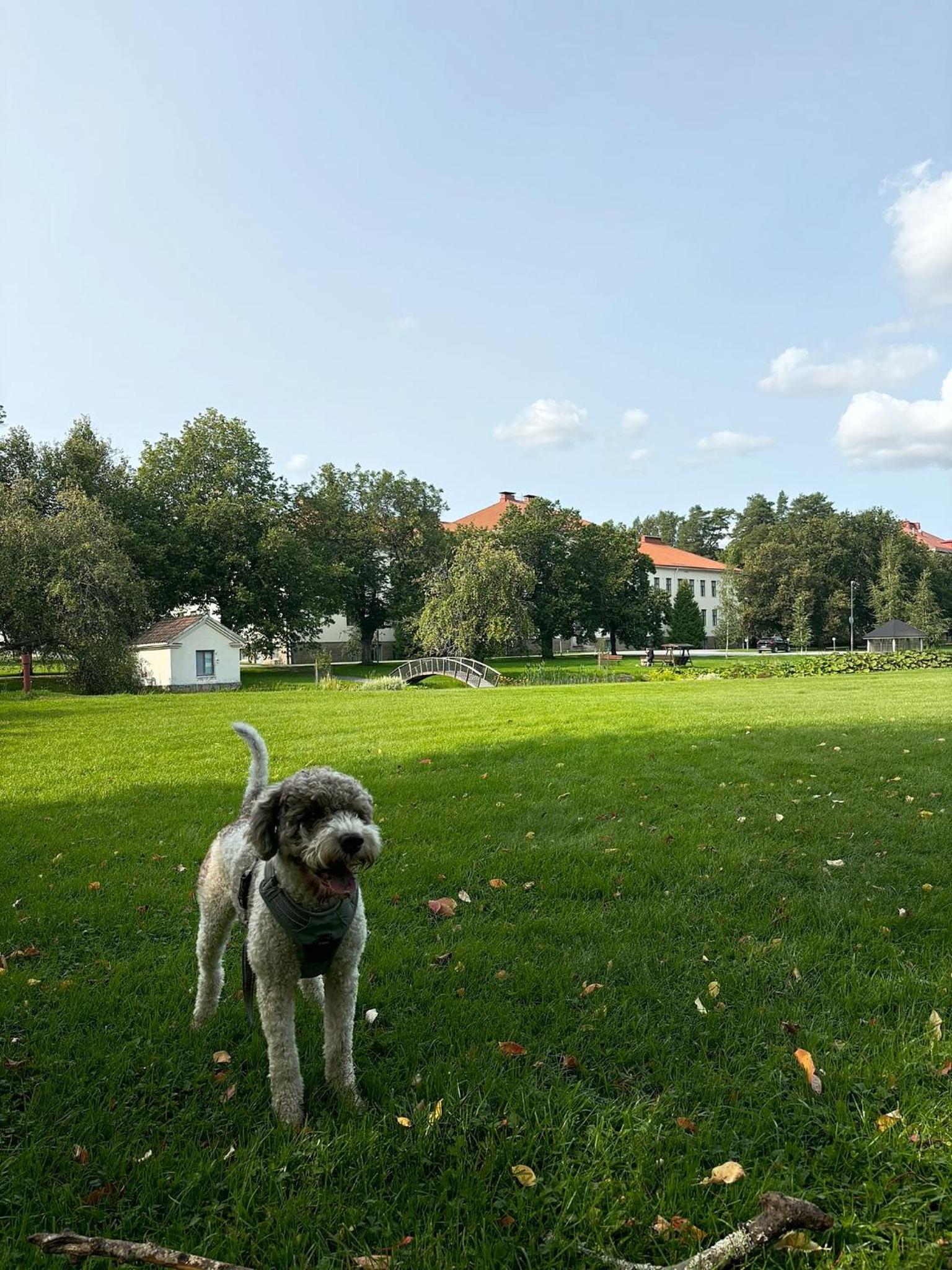 Photo 43