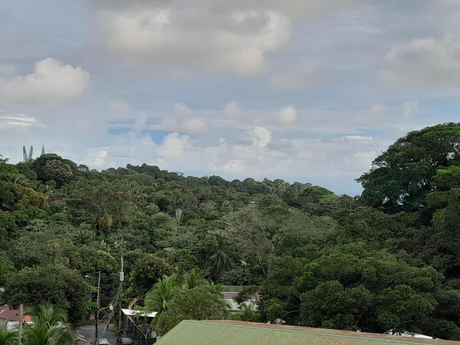 Natural Pacific Suites, Manuel Antonio-Quepos-Hotel