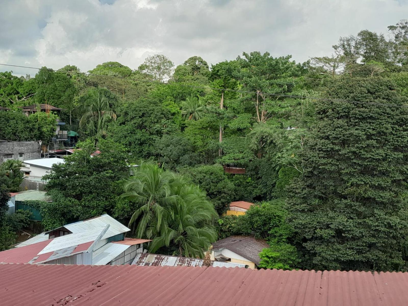Natural Pacific Suites, Manuel Antonio-Quepos-Hotel