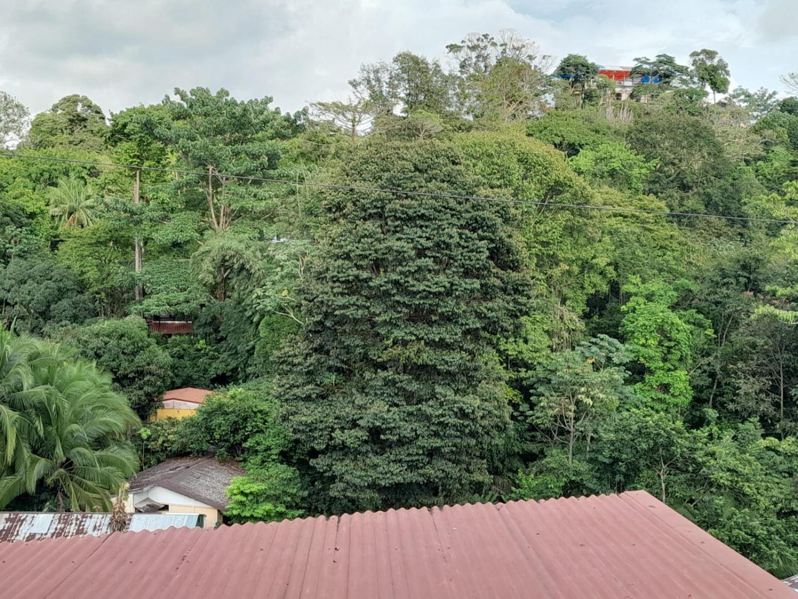 Natural Pacific Suites, Manuel Antonio-Quepos-Hotel
