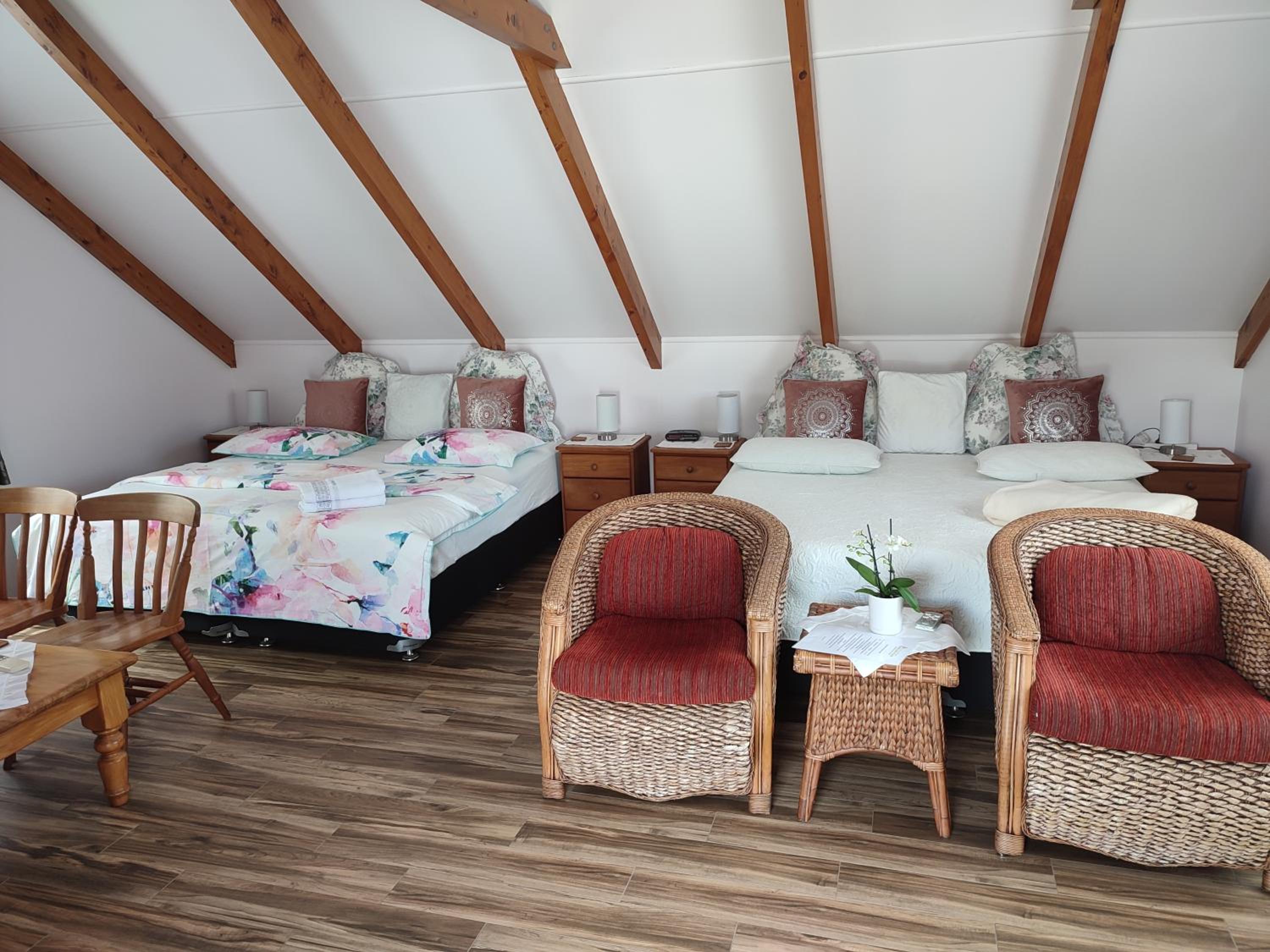 Whitianga Luxurious studio room