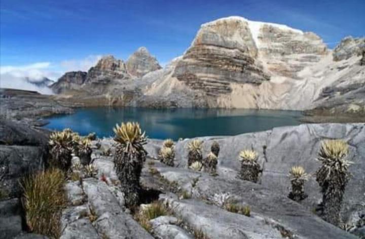 Cabañas M L el cocuy Boyacá