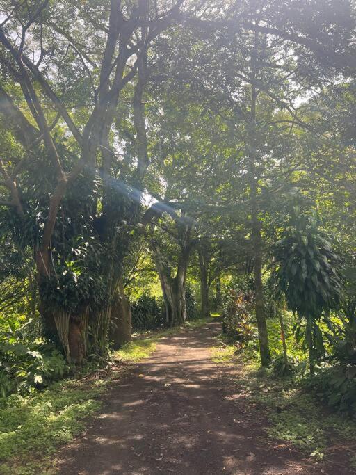 Casa en Ciudad Colón en medio de montañas