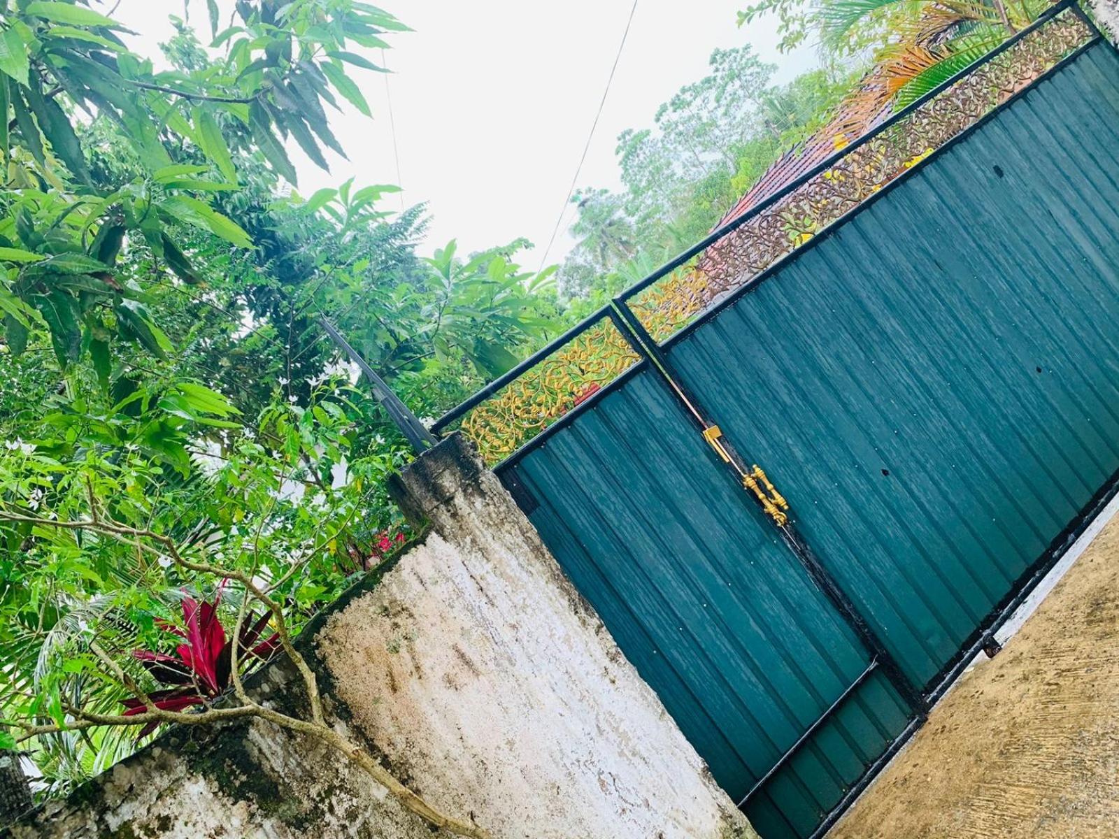 Shady Home