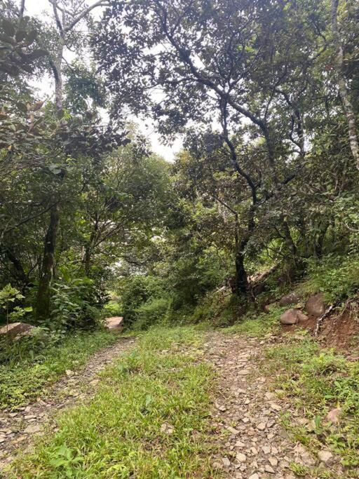 Cabina vista al valle Monteverde