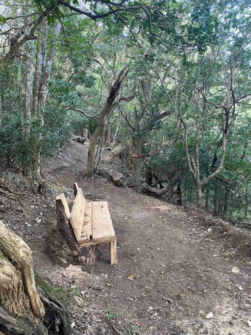 Cabina vista al valle Monteverde